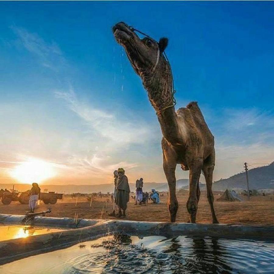 Journey Desert Camp 斋沙默尔 外观 照片